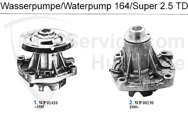 Wasserpumpe