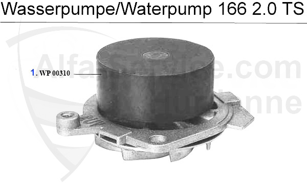Wasserpumpe
