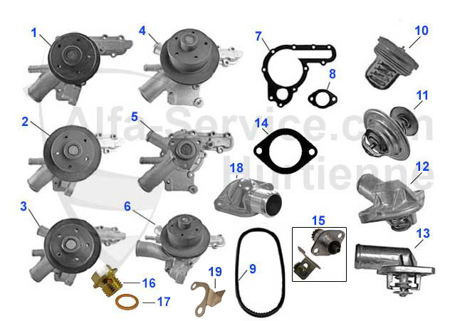 Wasserpumpen/Thermostate