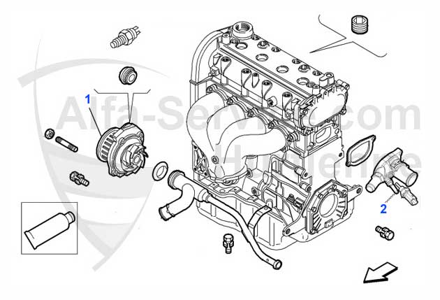 Wasserpumpe/Thermostat