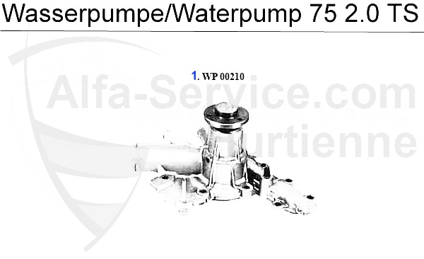 Wasserpumpe