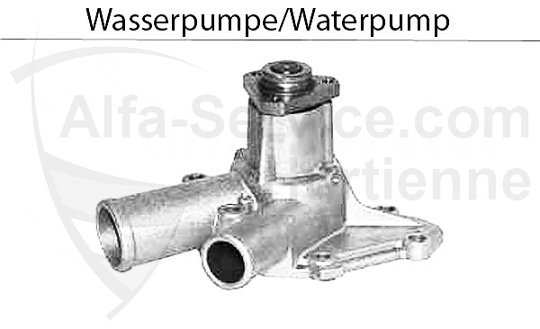 Wasserpumpe