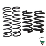 EIBACH LOWERING SET 40 mm SPIDER AND GT Front springs 110KG/rear springs 18KG