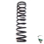 Feder hinten Spider '87-'93 / Giulia/Berlina